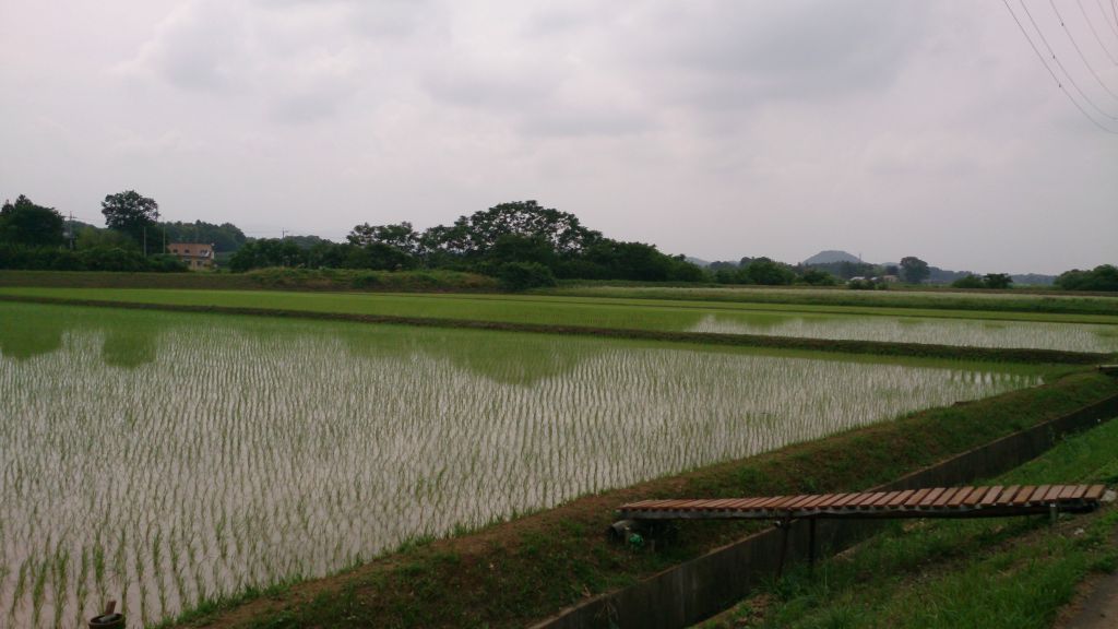 この画像を削除しました。セキュリティ上の理由により、ローカルドメインからの画像だけを許可しています。 画像を削除しました。