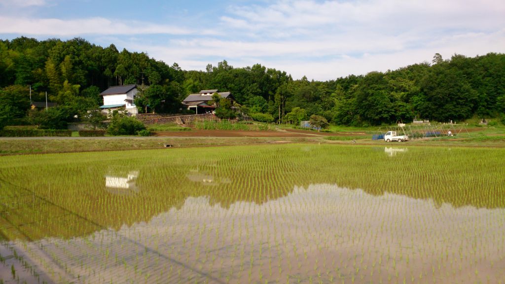 この画像を削除しました。セキュリティ上の理由により、ローカルドメインからの画像だけを許可しています。 画像を削除しました。