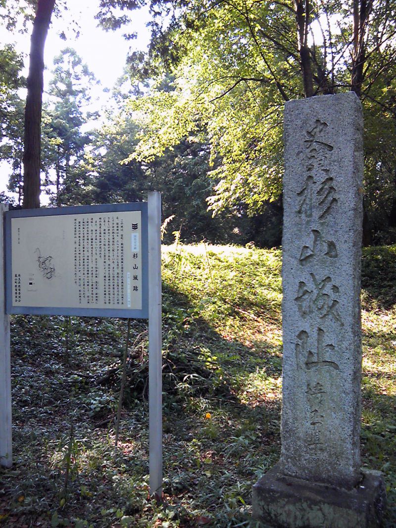 この画像を削除しました。セキュリティ上の理由により、ローカルドメインからの画像だけを許可しています。 画像を削除しました。